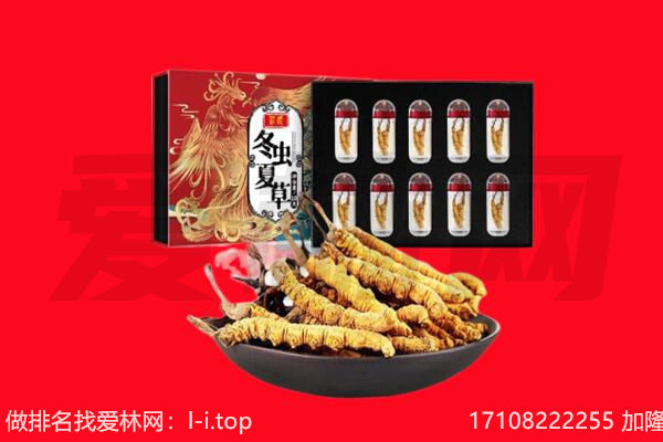 铜仁市沿河回收虫草.jpg